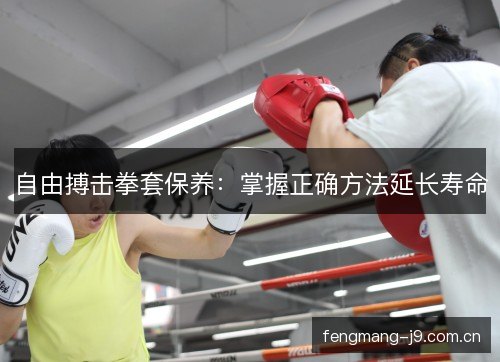 自由搏击拳套保养：掌握正确方法延长寿命