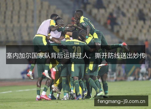 塞内加尔国家队背后运球过人，撕开防线送出妙传