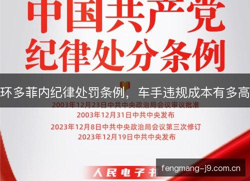 环多菲内纪律处罚条例,车手违规成本有多高 环多菲内纪律处罚条例,车手违规成本有多高